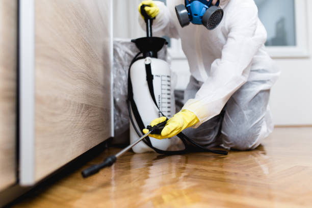 Best Commercial Pest Control Services  in La Joya, TX