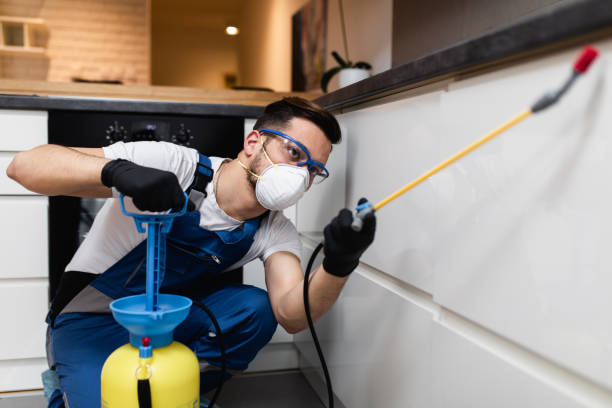 Best Pest Inspection Near Me  in La Joya, TX