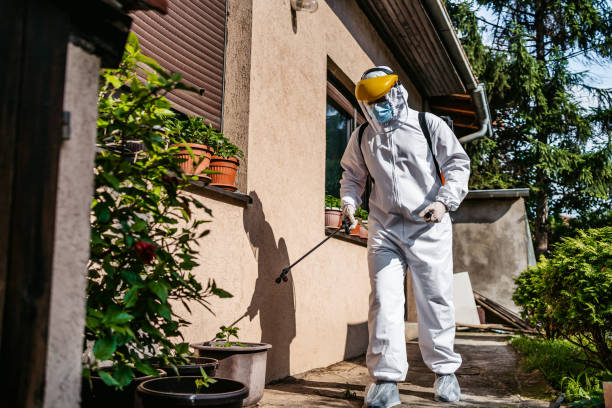 Best Ant Control Services  in La Joya, TX