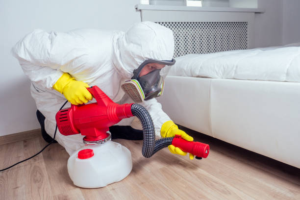 Best Flea Control Services  in La Joya, TX
