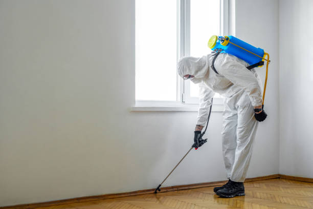 Wildlife Control Services in La Joya, TX
