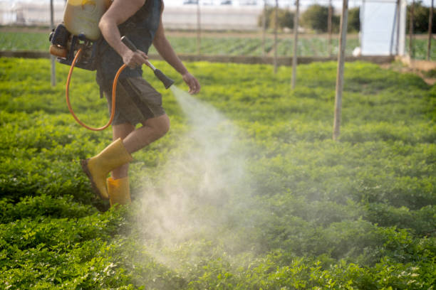 Best Commercial Pest Control Services  in La Joya, TX