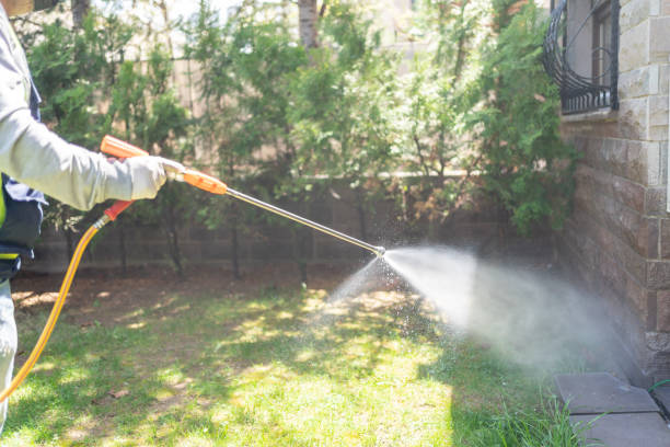 Best Affordable Pest Control Services  in La Joya, TX