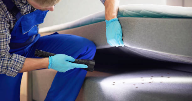Best Local Pest Control Services  in La Joya, TX