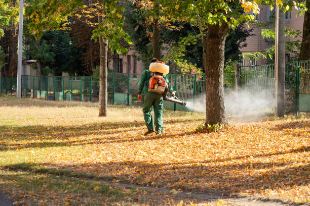 Best Exterminator Services  in La Joya, TX